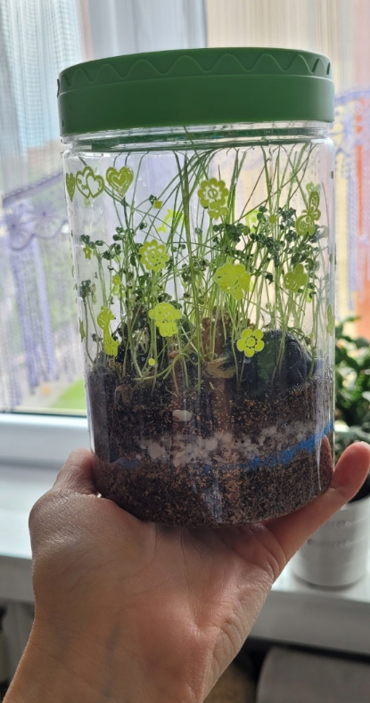 Obrazek #1 z Aleksandra