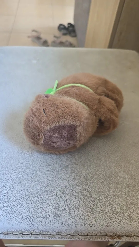 Obrazek #1 z Barbara