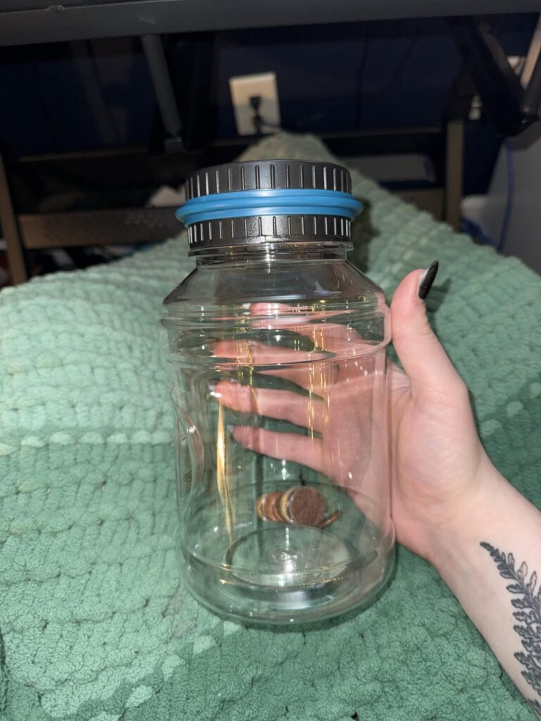 Obrazek #1 z Wioletta